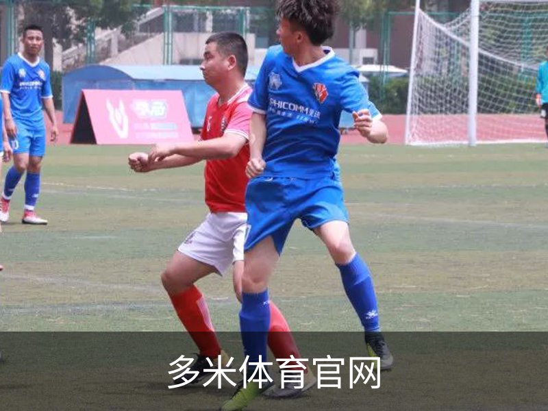 多米体育官网介绍